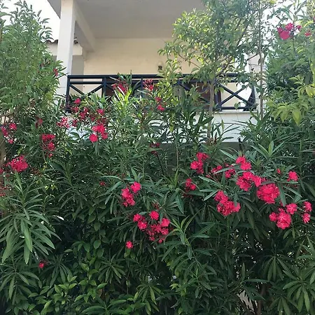Сasa de vacaciones Beachside House